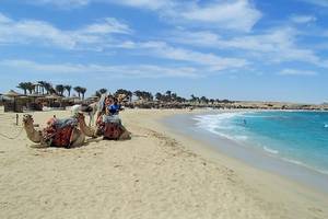 Malikia Resort Abu Dabbab in Marsa Alam & Quseir