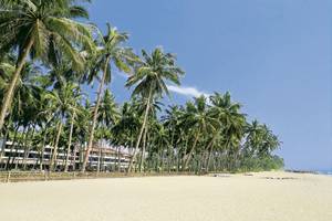 Strand mit Palmen und dem Blue Water Hotel und Spa im Hintergrund