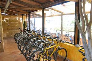 Reihe von Fahrrädern in einem Fahrradschuppen im Baia del Sole Hotel.