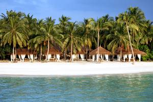 Reethi Faru Resort in Malediven