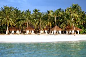 Reethi Faru Resort in Malediven