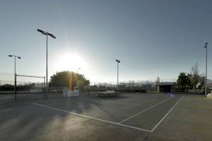 Tennisplatz bei Sonnenlicht mit leeren Spielfeldern, weißen Linien und einigen Bäumen im Hintergrund.