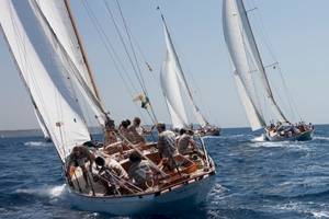 Mehrere Segelboote segeln auf dem Meer mit weißen Segeln unter einem blauen Himmel.
