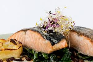 Ein Gericht mit Lachs, Spinat und Beilagen im Universal Hotel Neptuno.