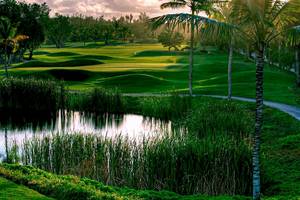 Barcelo Bavaro Beach in Dom. Republik - Osten (Punta Cana)