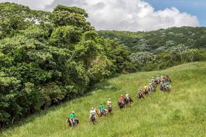 Gruppe von Reitern auf Pferden in einer hügeligen, bewaldeten Landschaft