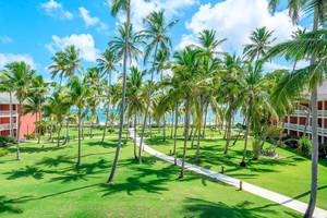 Barcelo Bavaro Beach in Dom. Republik - Osten (Punta Cana)