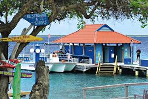 Divi Flamingo Beach Resort and Casino in Aruba & Bonaire