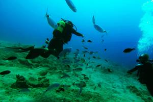 Zwei Taucher im Meer umgeben von einer Vielzahl von Fischen.
