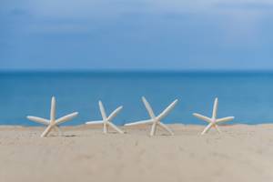 Vier Seesterne auf dem Sandstrand mit dem Meer im Hintergrund