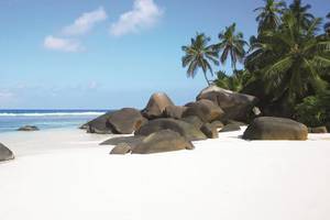 Coco de Mer & The Black Parrot Suites in Seychellen