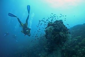Taucher in voller Ausrüstung, der unter Wasser vor einem Korallenriff schwimmt.