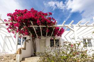 Rhenia Mykonos Hotel & Bungalows in Mykonos