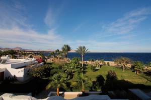 Ausblick auf das Meer und Palmen vom Sharm Club Beach Resort.