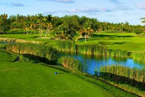 Barcelo Bavaro Palace in Dom. Republik - Osten (Punta Cana)