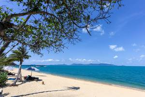 Saree Samui Resort in Thailand: Insel Koh Samui