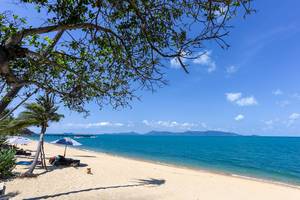 Saree Samui Resort in Thailand: Insel Koh Samui