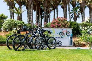 Lyttos Beach Hotel in Kreta, Fahrrad fahren