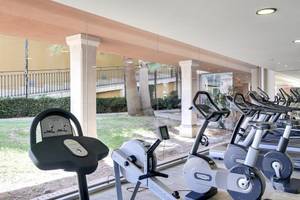 Fitnessstudio im Occidental Playa de Palma Hotel mit vielen Laufbändern und einer grünen Rasenfläche draußen.