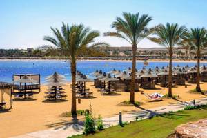 Strand des Steigenberger Coraya Beach Hotels mit Palmen und Sonnenliegen