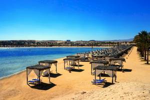 Strand des Steigenberger Coraya Beach Hotels mit vielen Sonnenschirmen und Liegen