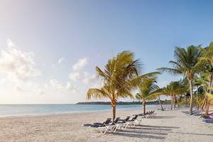 Strand mit Sonnenliegen und Palmen am Barcelo Maya Palace Hotel