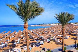 Dana Beach Resort, Hurghada, Strand, Meer, Palme