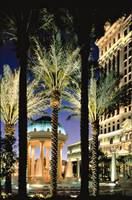 Caesars Palace Nachtansicht mit Brunnen und Palmen