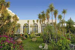 Außenbereich des Irene Palace Beach Resorts mit großen Palmen und bunten Blumen.