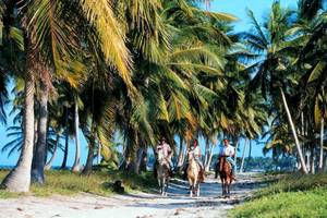 Dreams Flora Resort & Spa in Dom. Republik - Osten (Punta Cana)