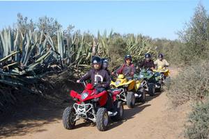 El Mouradi Djerba Menzel in Tunesien - Insel Djerba