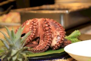 Gegrillter Oktopus auf einem Teller bei La Digue Island Lodge.