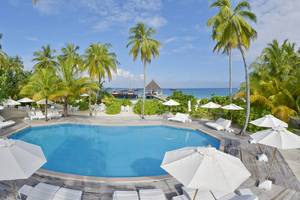 Luftaufnahme des Pools im Safari Island Resort mit weißen Sonnenliegen und Sonnenschirmen.