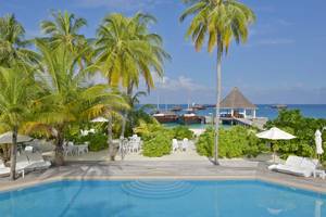 Außenbereich des Safari Island Resorts mit Pool, Liegestühlen und Palmen.