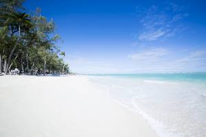Weißer Sandstrand mit Palmen und blauem Himmel, nahe dem Vista Sol Punta Cana Beach Resort & Spa