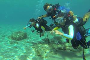 Drei Taucher erkunden das Meer bei Candia Park Village.