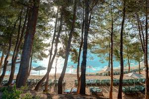 Strand des Candia Park Village Hotels mit Sonnenliegen und Schirmen zwischen Bäumen