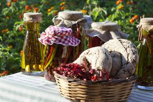 Ein Tisch von Candia Park Village mit Brot, eingelegten Chilischoten und Olivenöl