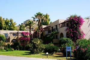 Außenansicht des Porto Bello Beach Hotels mit grüner Rasenfläche, Palmen und Blumenbüschen.