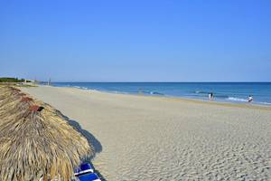 Strand mit weißen Sandstränden, blauen Liegestühlen und Palmenhütten am Melia Las Antillas