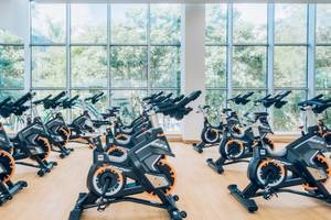 Fitnessstudio mit mehreren Fahrradtrainern vor großen Fenstern mit Blick auf Bäume