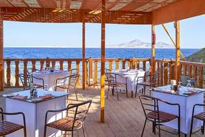 Parrotel Beach Resort in Sharm el Sheikh / Nuweiba / Taba