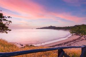 Strand mit Sonnenuntergang, rosa Himmel, Baum und Wellen