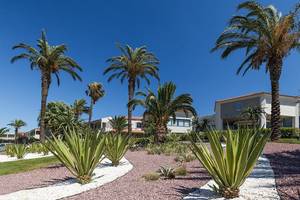 Eingang des Rodos Princess Beach Hotels mit Palmen und Kiesweg