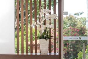 Weiße Orchideen in einem weißen Blumentopf im Eingangsbereich des Niriides Beach Hotels