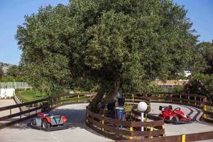 Zwei rote Go-Karts stehen auf der Rennstrecke des Niriides Beach Hotels neben einer großen Olivenbaum.