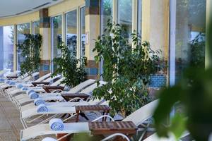Reihe von weißen Liegen im Freien, neben Holztischen und Pflanzen, im Liberty Hotels Lara.