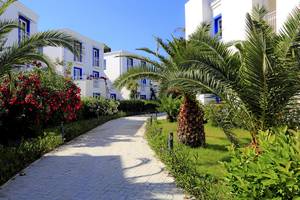 Weg zwischen Palmen zum LABRANDA TMT Bodrum Hotel mit weißen Gebäuden und blauen Fenstern