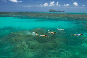 Vier Personen schwimmen und schnorcheln im Meer vor einer Insel.