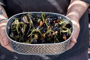 Koch mit Schale voller gekochter Muscheln und grünen Pflanzen
